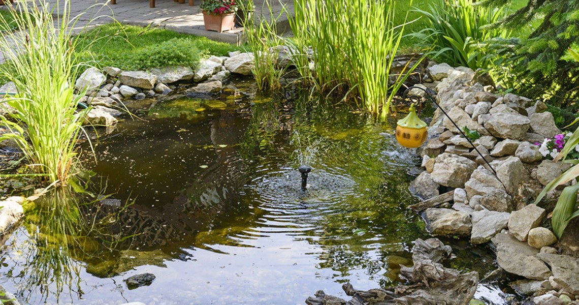 Aménagement de points d'eau et d'étangs